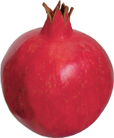 png pomegranate